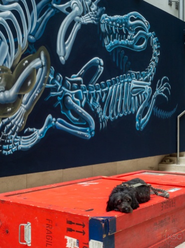 Alfonso lounging in front of art by Nychos